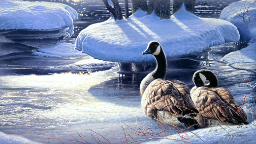 700268 (a): :2715x1530